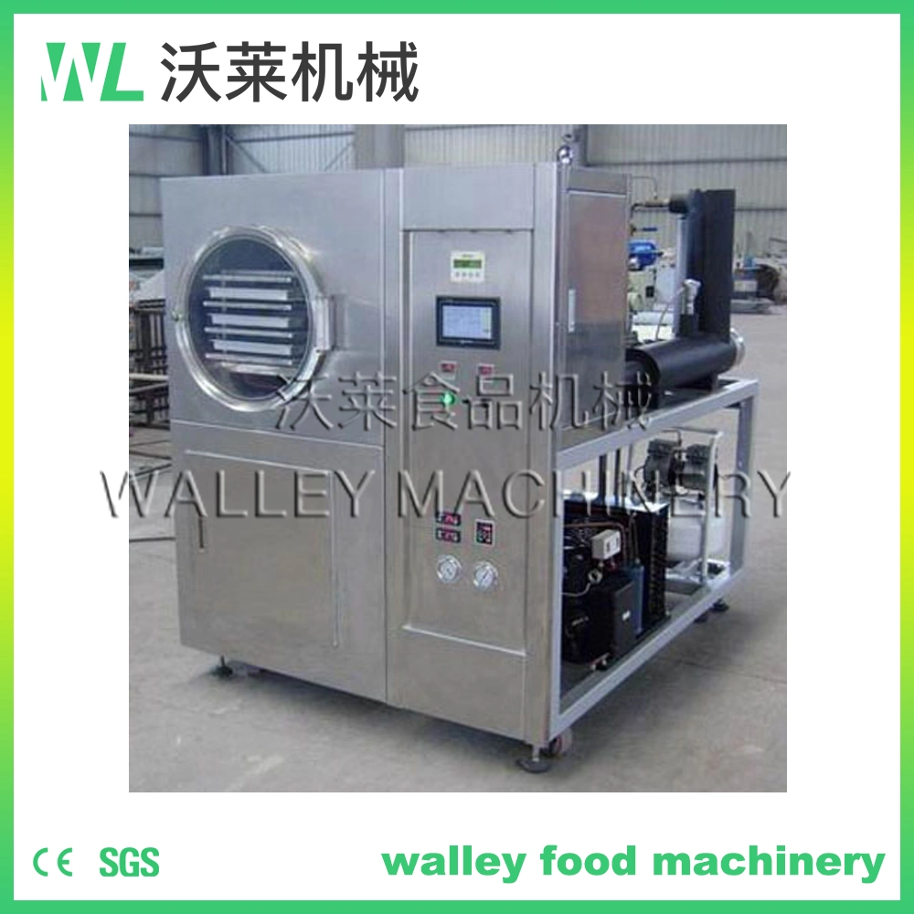 China Carrot Potato Pumpkin Vacuum Freeze Dryer