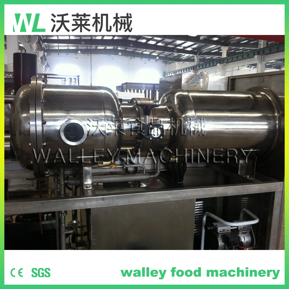 China Carrot Potato Pumpkin Vacuum Freeze Dryer