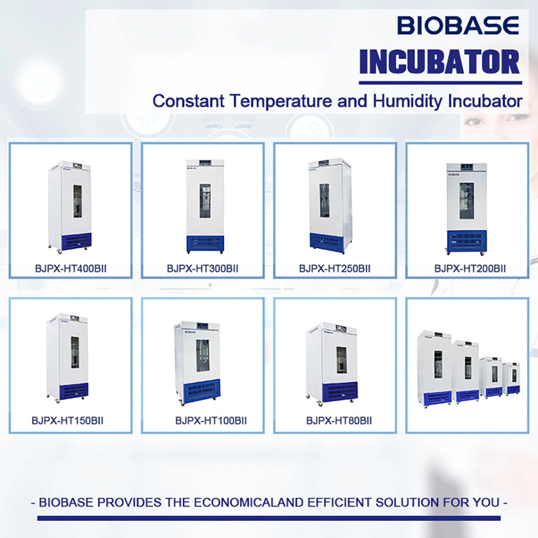 Biobase China Table-Top Stomacher Blender Stomacher Lab Blender