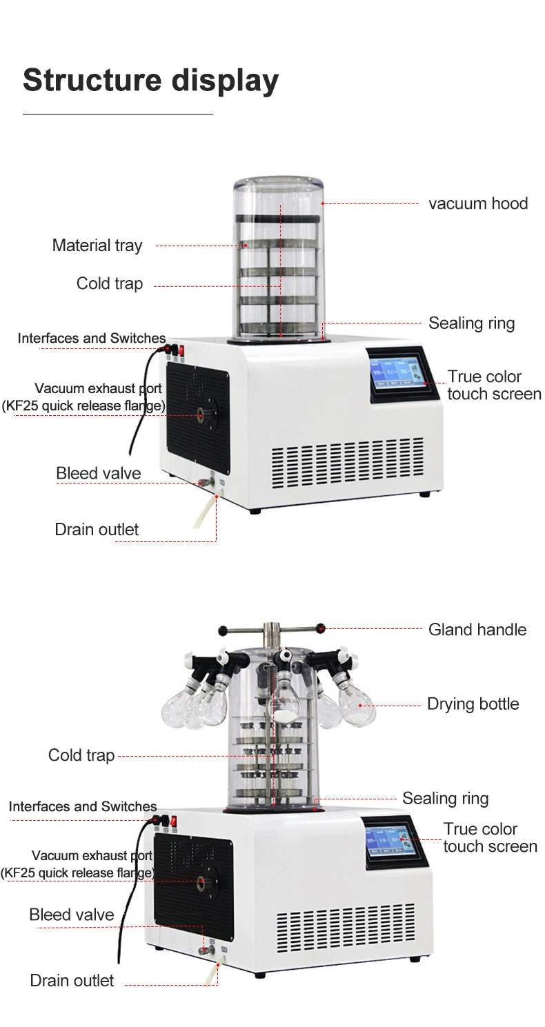 Laboratory Pharmaceutical Benchtop Small Mini Vacuum Lyophilizer Freeze Dryer Price