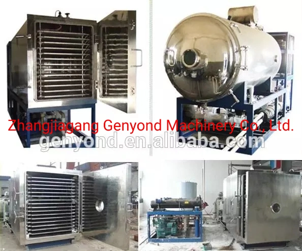 Industrial Lyophilization Machine Vacuum Freeze Dryer